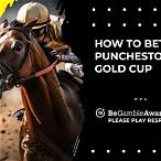 how can i bet on the punchestown